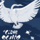 EL CISNE OCULTO